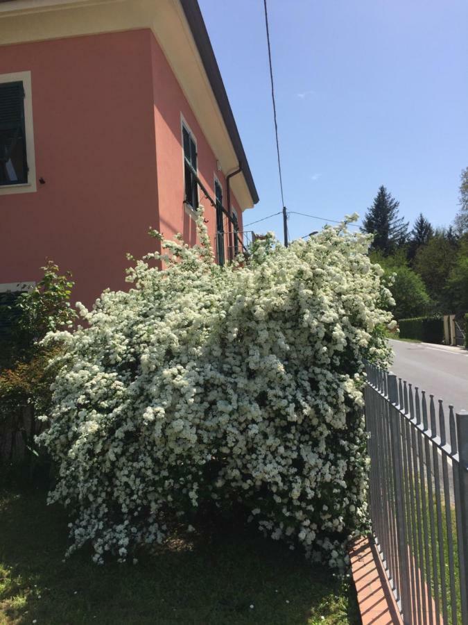 Il Ghiretto Appartamento Riccò del Golfo di Spezia Extérieur photo